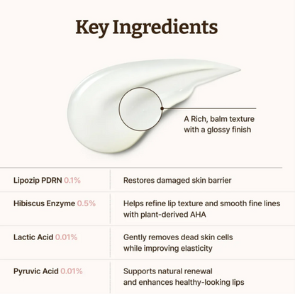 Dr. Rejuall Advanced PDRN Rejuvenating Cream Lip Serum